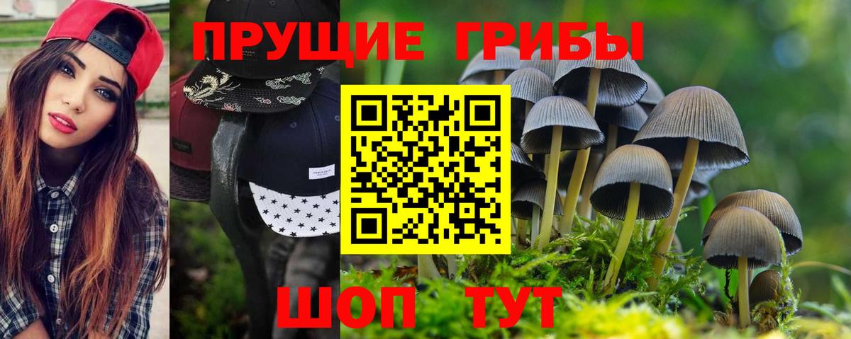 Великий Новгород  Галлюциногенные грибы Psilocybine cubensis  Вход с VPN 